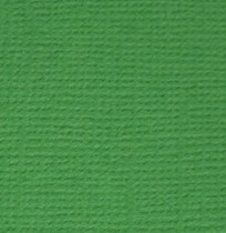 Кардсток 30.5х30.5 Лесной папоротник (т.зелёный) PST-26,  216г/м2