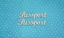 Набор "Паспорт" № 2 (англ) в наборе 2 надписи, одна надпись 6*1,8 см
