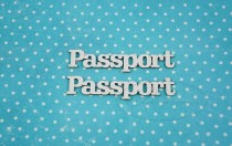 Набор "Паспорт" № 3 (англ) в наборе 2 надписи, одна 6*1,5 см