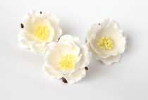 Полиантовые розы - Белые, 1 шт
