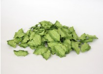 Листья остролиста без стебельков - Зеленые 1 шт., длина 4 смширина 2,5 см