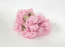 Шебби лента - Розовый тюльпан 1 м