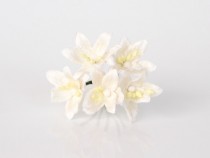 Лилии мини - Белые, 1 шт