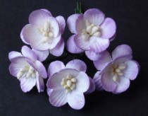 Цветки вишни  25мм -2-TONE LILAC MULBERRY PAPER CHERRY BLOSSOMS 1шт