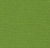 Кардсток 30.5х30.5 Оливковый венок (зелёный) PST-25,  216г/м2