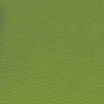 Кардсток "Craft Premier" 30x30см, 216гр/м2, 1шт. (20727, Зеленый попугай - кардсток, Зеленый-0)