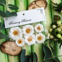 Набор цветов Freetany Flowers – 20 Ромашки