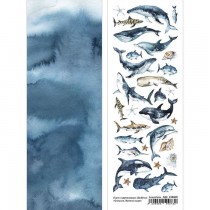 Лист с картинками 10х30 см "Океания. Жители моря" (ScrapMania), пл. 180г/м2