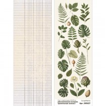 Лист с картинками 10х30 см "Ботанические истории. Тропическая зелень" (ScrapMania), пл. 180г/м2