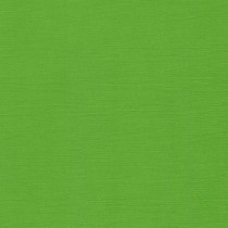 Кардсток текстурированный Зеленый Травяной, 30,5*30,5, плотность 216 г/м