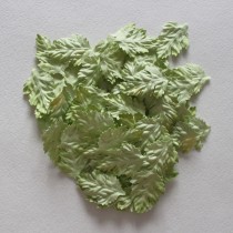 Лист шиповника без стебельков Светло-зеленый 1 шт