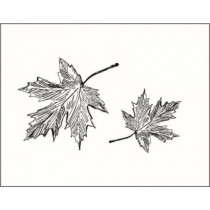 Штамп набор Листья клена-3 3,3*3 см и 2,3*2см