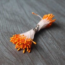 Пучок тычинок -оранжевые, 70-80 шт