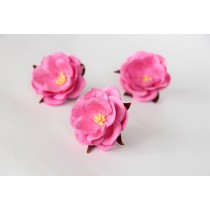 Дикие розы - Розовые диаметр ок. 4.5-5 см высота ок. 1.5 см длина стебля ок. 2 см, 1 шт