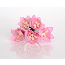 Лилии мини - Розовые, 1 шт