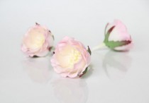 Полиантовые розы - Св.розовый+белый 1 шт