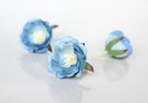 Полиантовые розы - Голубые 2хтоновые, 1 шт.