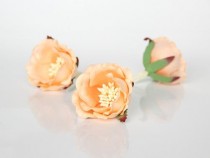 Полиантовые розы - Персиковые 2хтоновые , 1 шт.
