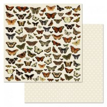 Бумага "Сад бабочек" 30,5х30,5 см, пл.180 гр/м2 (ScrapMania)