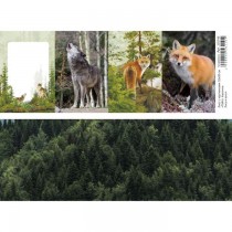 Лист с картинками 10х30 см "Тайга. Карточки. Лиса и волк" (ScrapMania), пл.180 г/м2