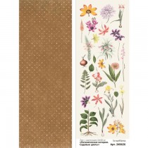 Лист с картинками 10х30 см "Ботанические истории. Садовые цветы" (ScrapMania), пл. 180г/м2