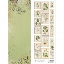 Лист с картинками 10х30 см "Ботанические истории. Марки" (ScrapMania), пл. 180г/м2