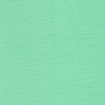 Кардсток текстурированный Персидский зелёный, 30,5*30,5, плотность 216 г/м,  1 лист FD1100332