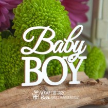 Чипборд надпись "Baby Boy" Hi-359