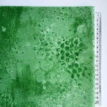 Ткань "Отпечатки на зеленом", размер 50х50 см