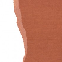 Кардсток текстурированный Медно-коричневый, 30,5*30,5 см, 216 гр/м, цена за 1 лист SCB172312133